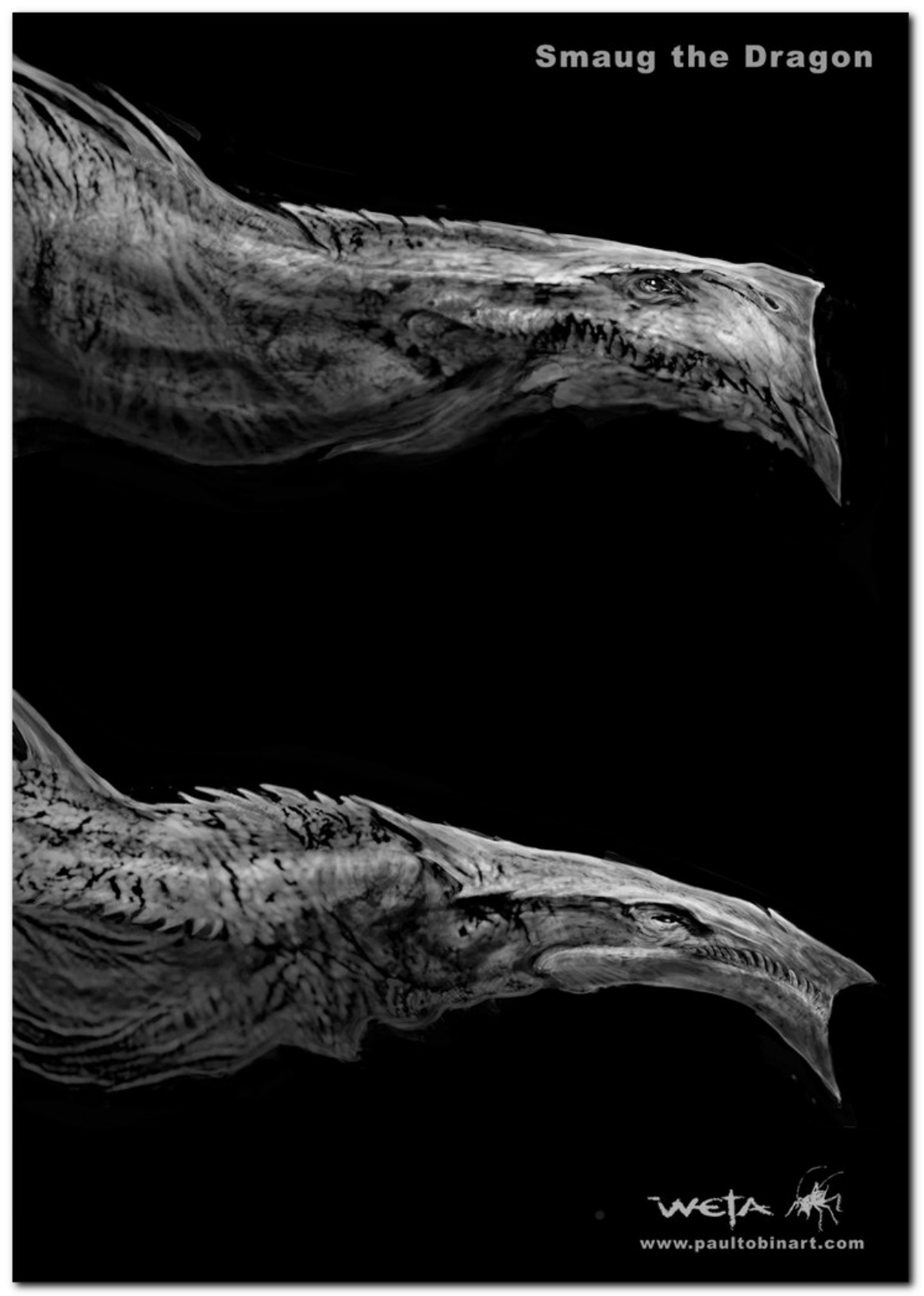 图片[11]-T13-霍比特人：史矛革荒漠编年史艺术与设计 | The Hobbit The Desolation of Smaug Chronicles Art & Design-爱画画的卷心菜