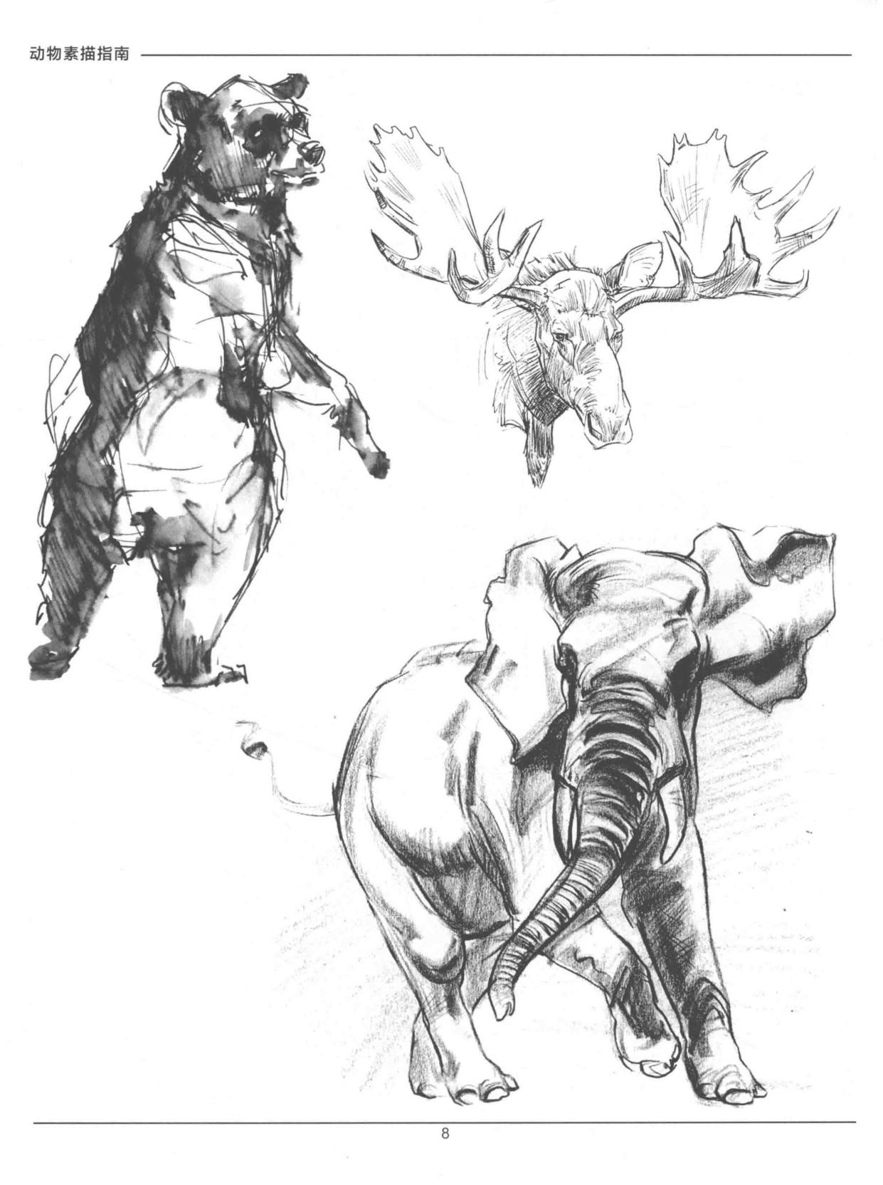 图片[12]-T1307-中文版《Weatherly动物绘画指南》Joe Weatherly | Chinese Version Weatherly Guide to Drawing Animals Joe Weather-爱画画的卷心菜