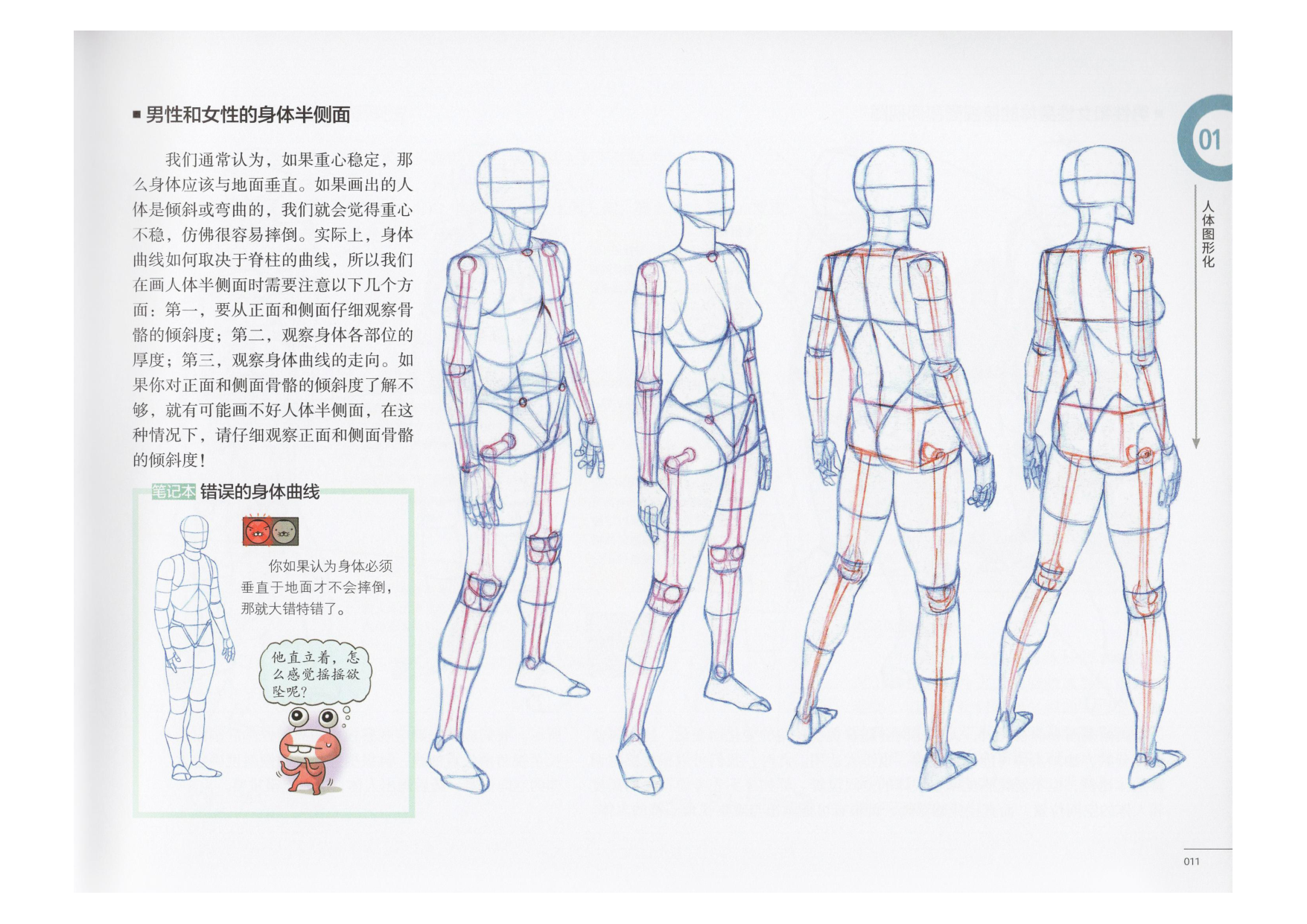 图片[12]-T1311-艺用动态解剖 | 艺用动态解剖 (金乐熹)-爱画画的卷心菜