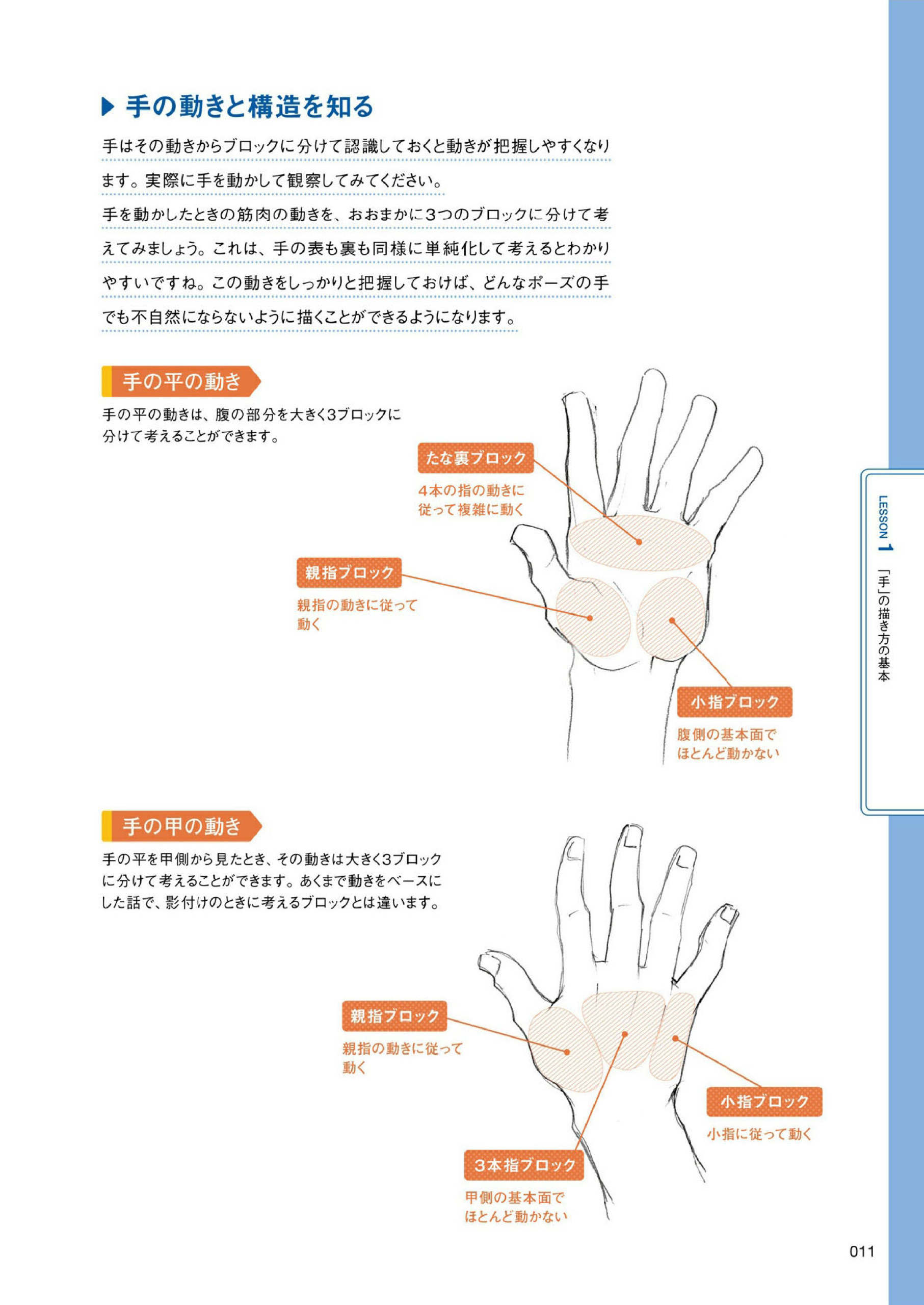 图片[12]-T1410-手的画法 | 手の描き方-爱画画的卷心菜