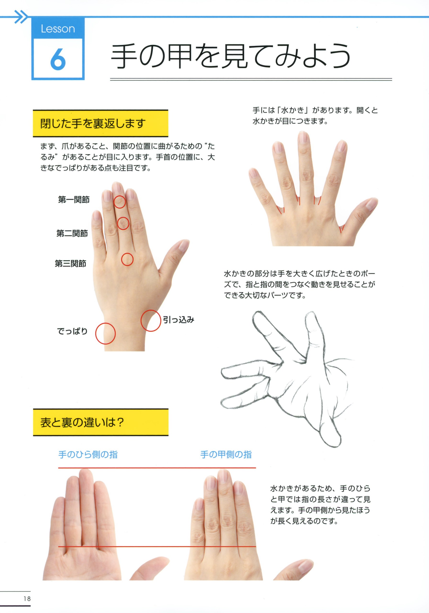 图片[13]-T1298-横沟东子手足绘画精通指南 | Toko Yokomizo Master Guide to Drawing Hands and Feet Thorough-爱画画的卷心菜