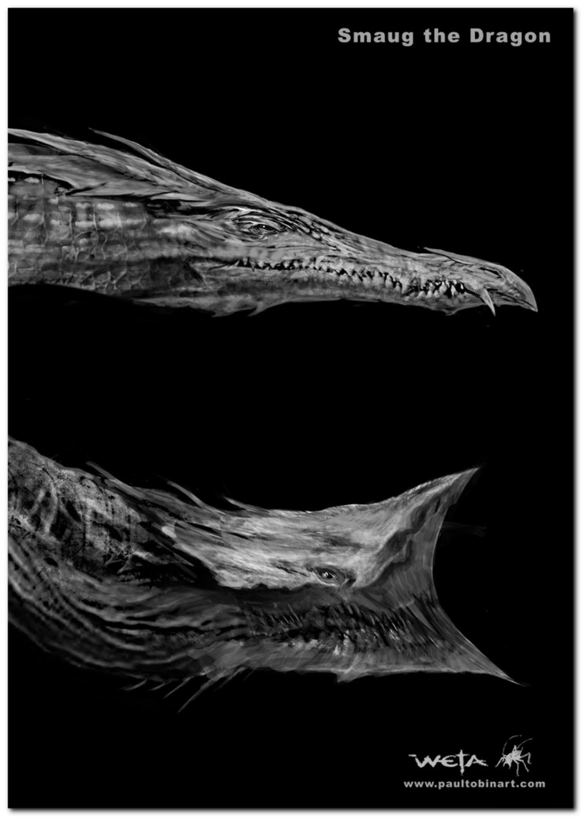 图片[12]-T13-霍比特人：史矛革荒漠编年史艺术与设计 | The Hobbit The Desolation of Smaug Chronicles Art & Design-爱画画的卷心菜