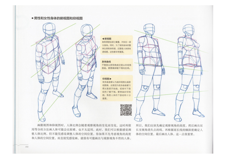 图片[13]-T1311-艺用动态解剖 | 艺用动态解剖 (金乐熹)-爱画画的卷心菜