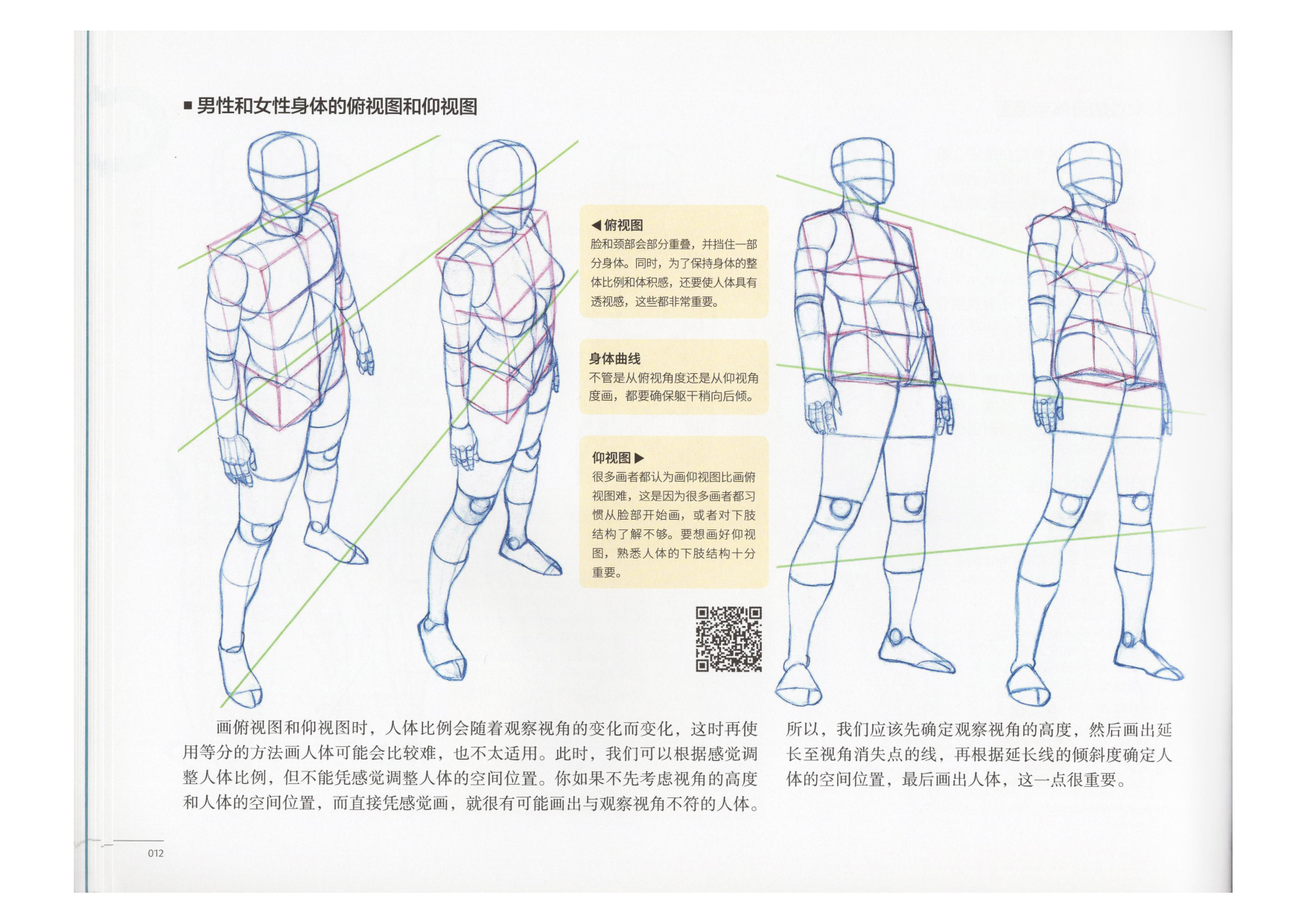 图片[13]-T1311-艺用动态解剖 | 艺用动态解剖 (金乐熹)-爱画画的卷心菜
