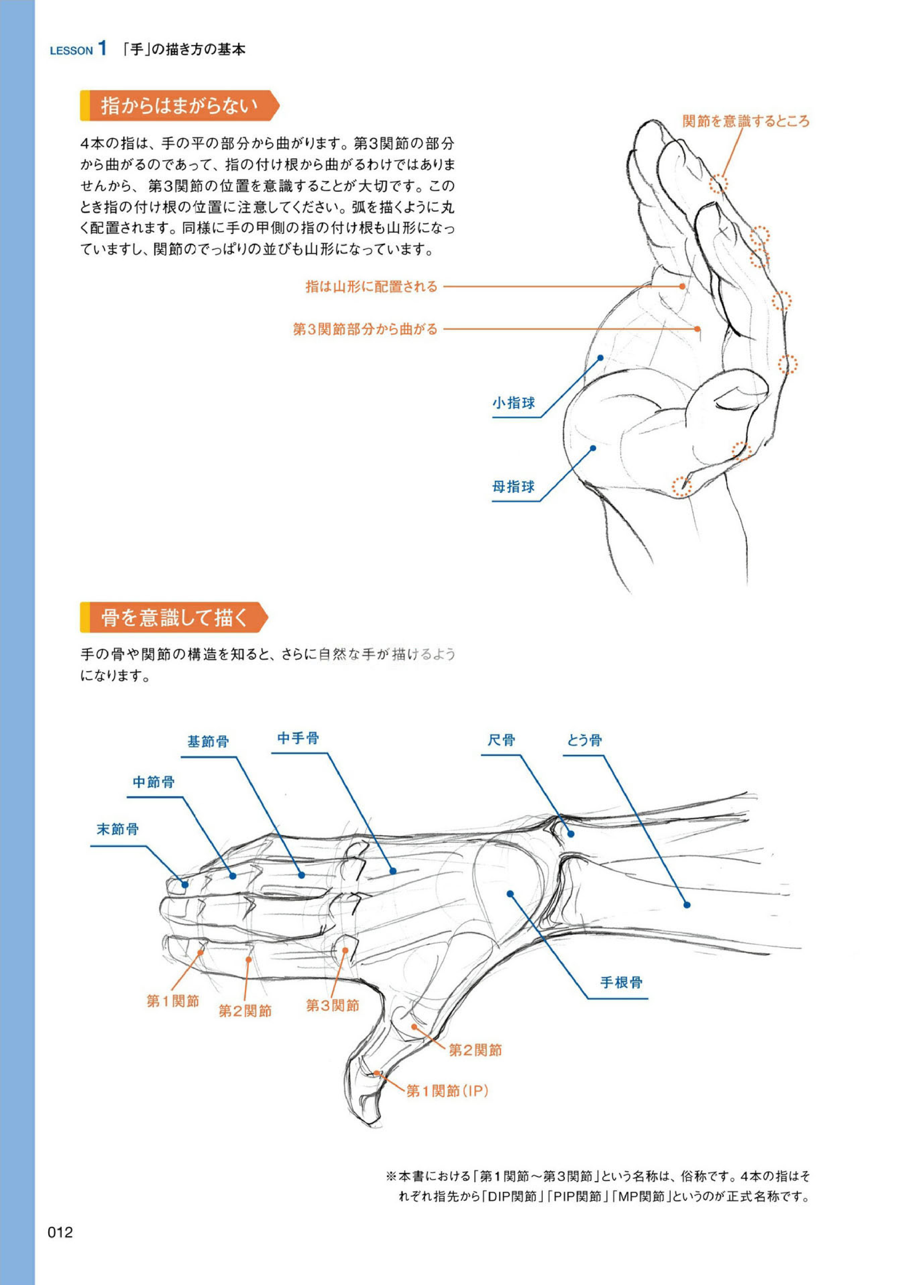 图片[13]-T1410-手的画法 | 手の描き方-爱画画的卷心菜