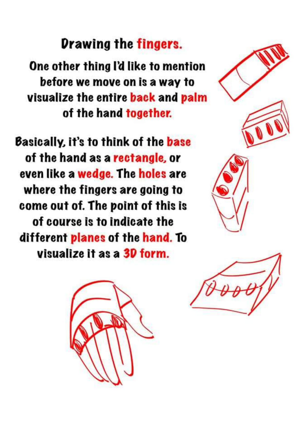 图片[13]-T145-绘制手部的技巧 | Tips for drawing hand-爱画画的卷心菜