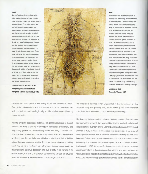 图片[13]-T1053-解剖学 | Anatomy-爱画画的卷心菜