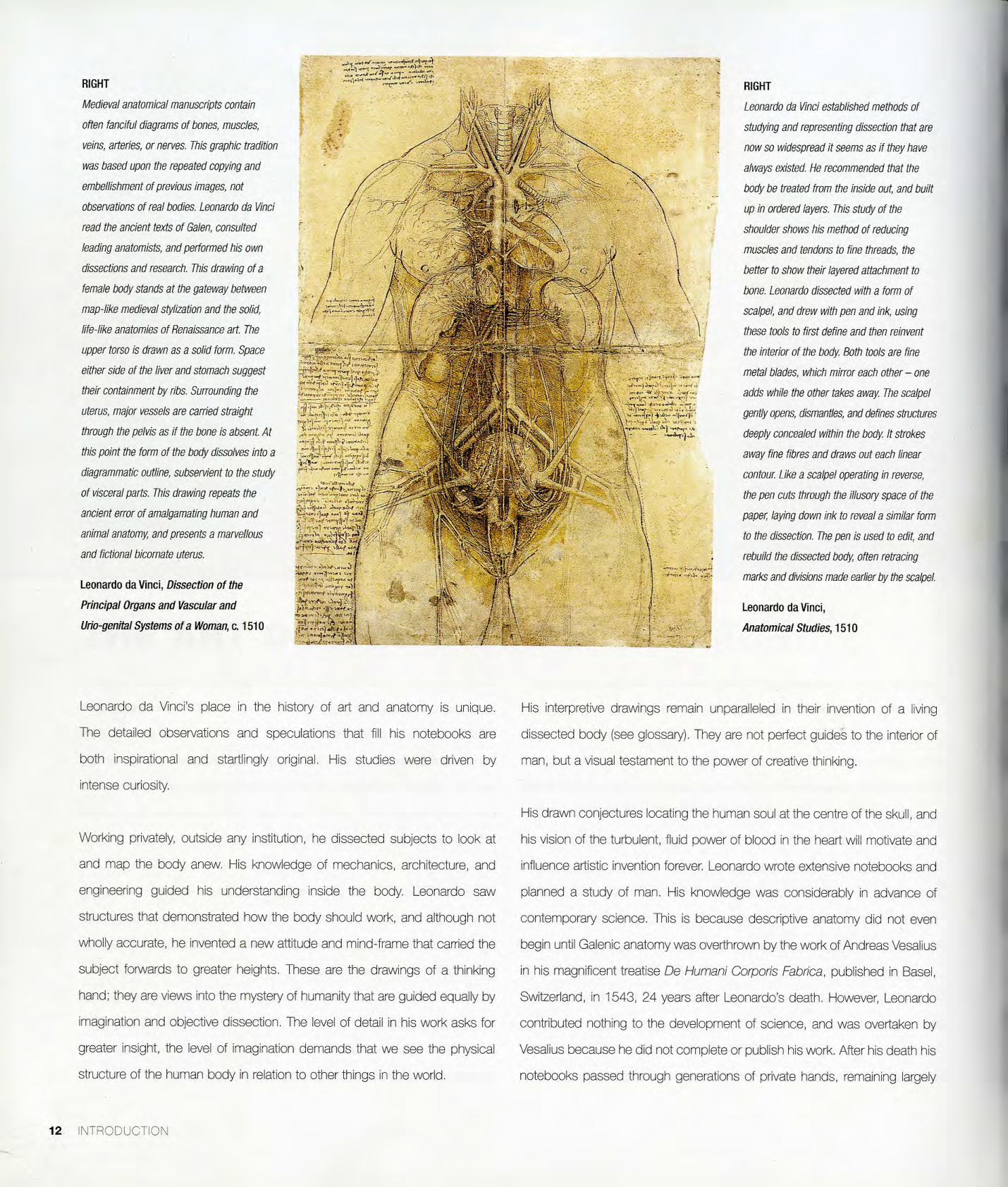 图片[13]-T1053-解剖学 | Anatomy-爱画画的卷心菜
