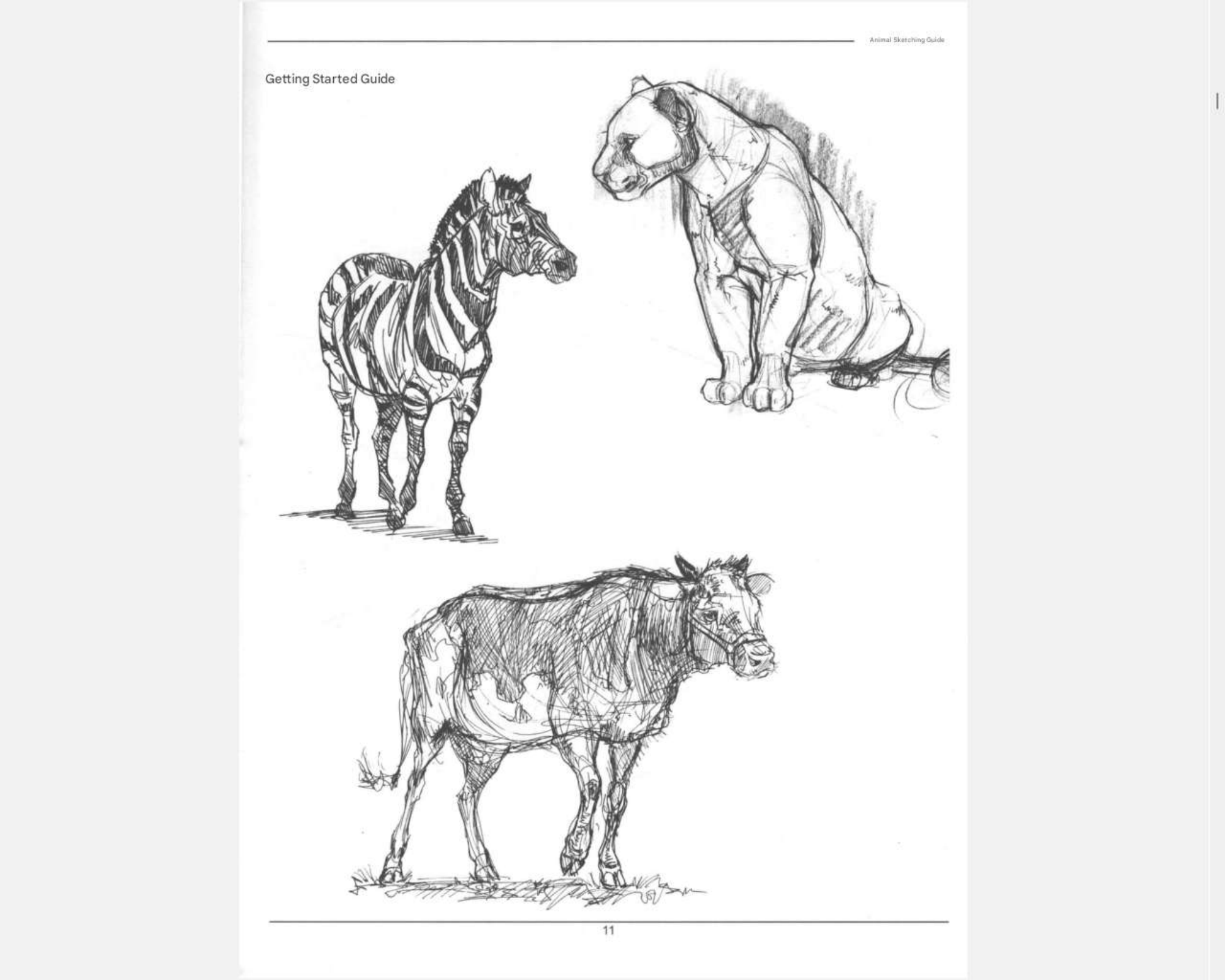 图片[14]-T1256-《Weatherly动物绘画指南》 | Weatherly guide of Animal Drawing-爱画画的卷心菜