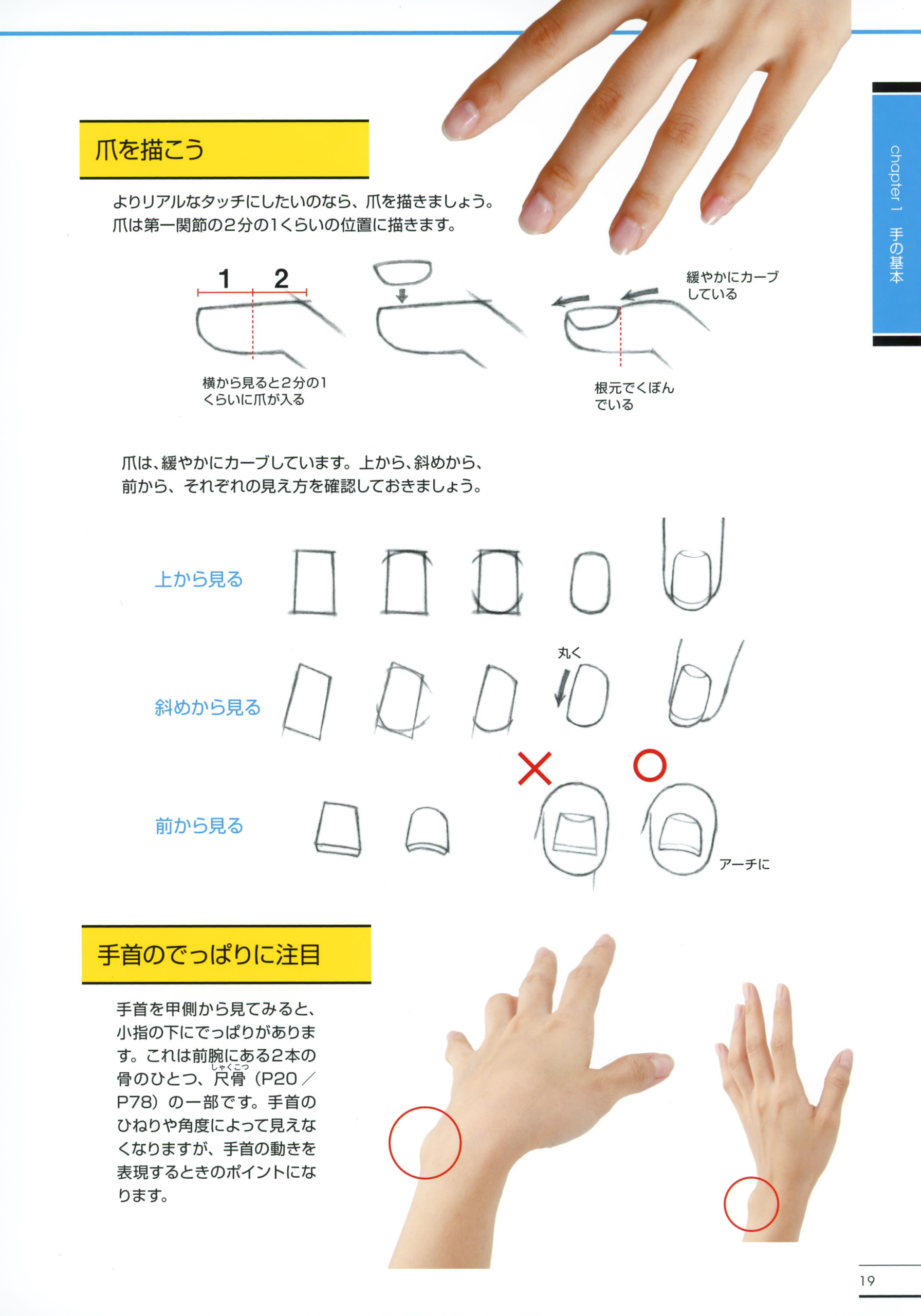 图片[14]-T1298-横沟东子手足绘画精通指南 | Toko Yokomizo Master Guide to Drawing Hands and Feet Thorough-爱画画的卷心菜