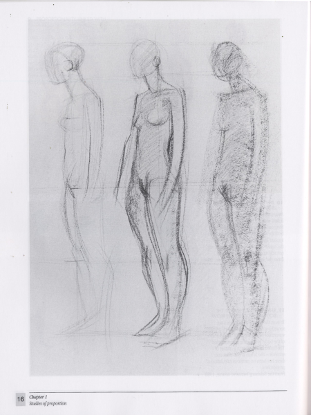 图片[14]-T1021-Gottfried Bammes 人体解剖学艺术家指南 | Gottfried Bammes – The Artist’s Guide to Human Anatomy-爱画画的卷心菜