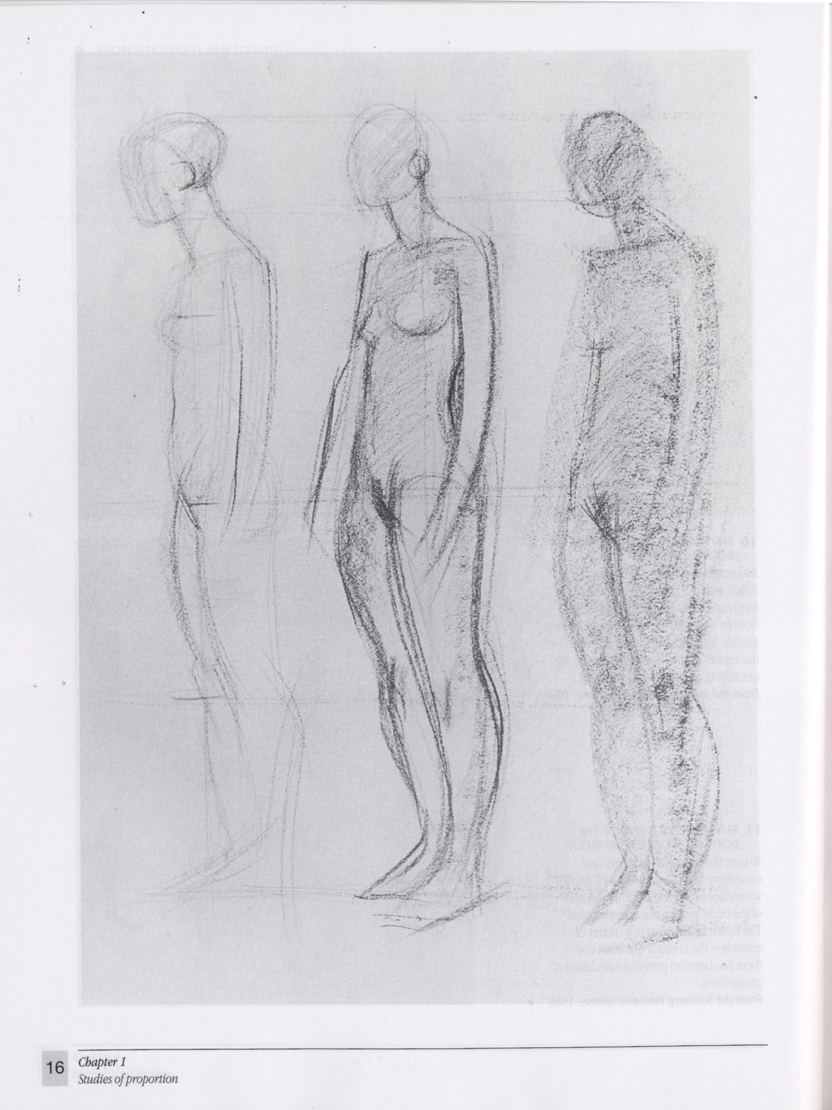 图片[14]-T1021-Gottfried Bammes 人体解剖学艺术家指南 | Gottfried Bammes – The Artist’s Guide to Human Anatomy-爱画画的卷心菜