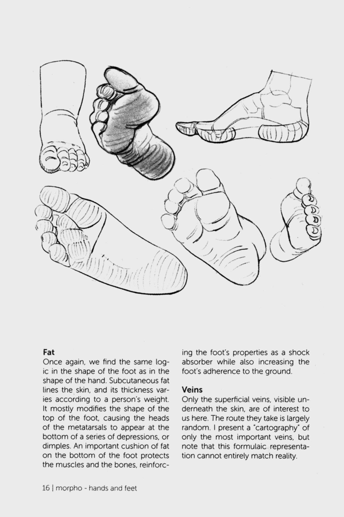 图片[14]-T1025-Lauricella Michel 形态手与脚 | Lauricella, Michel – Morpho Hands and Feet (2019)-爱画画的卷心菜