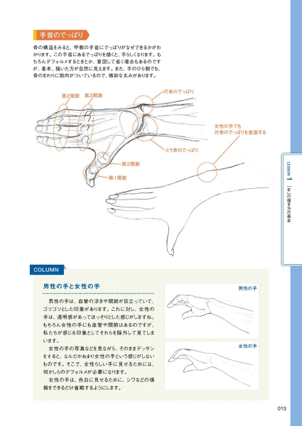 图片[14]-T1410-手的画法 | 手の描き方-爱画画的卷心菜