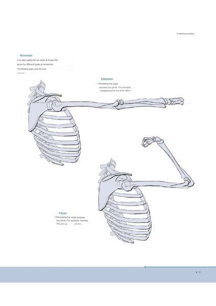 图片[15]-T100-艺术家解剖学 3D出版 | Anatomy for Artists- 3D publishing-爱画画的卷心菜