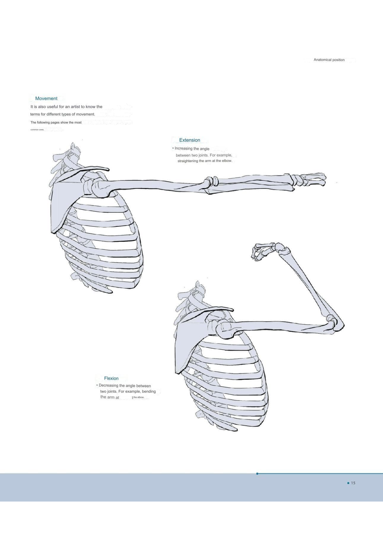 图片[15]-T100-艺术家解剖学 3D出版 | Anatomy for Artists- 3D publishing-爱画画的卷心菜