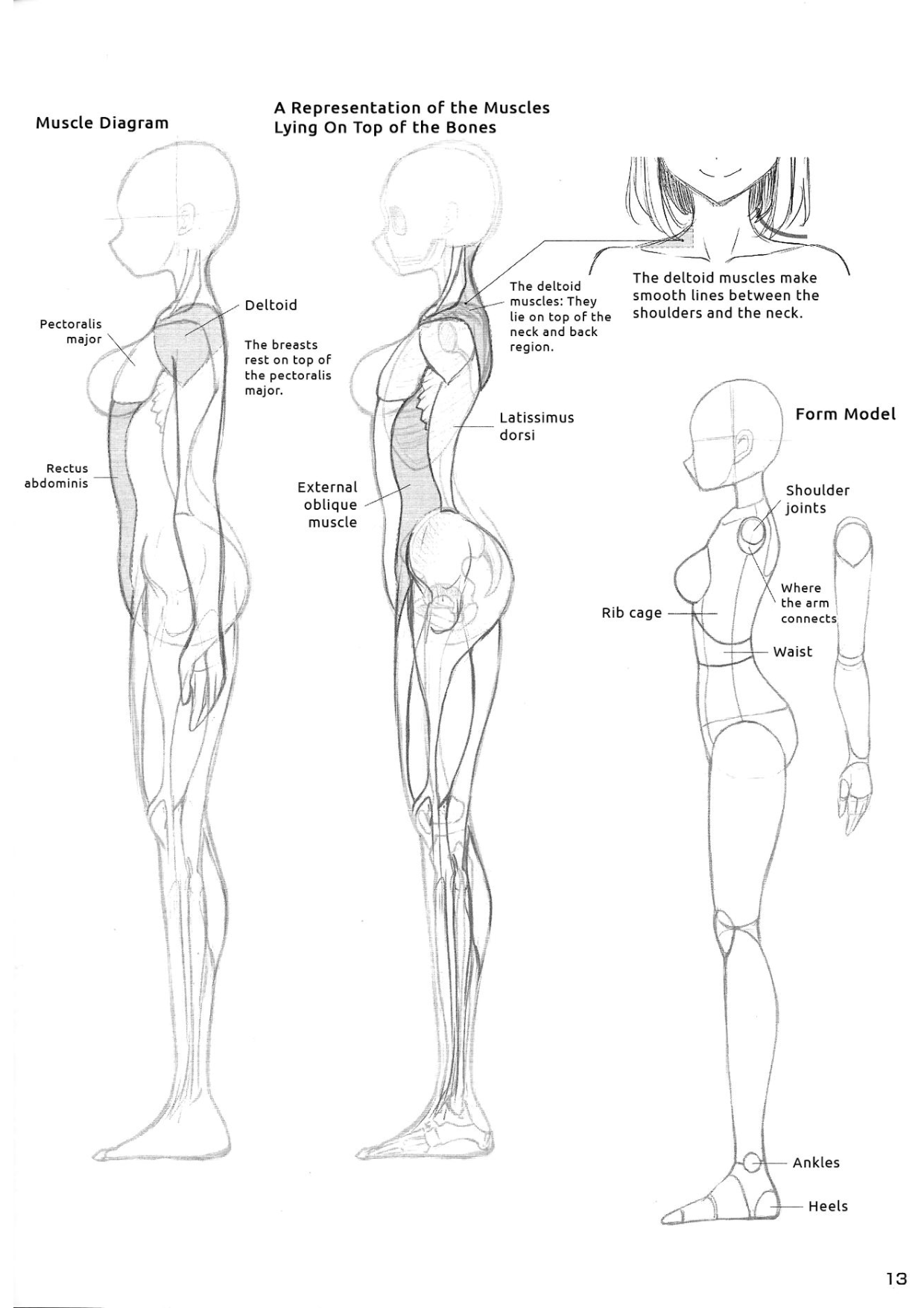 图片[15]-T1184-女孩子身体的绘制方法 性感表现技巧 林晃go工作室 English Hikaru Hayashi 20 | 女の子のカラダの描き方 色っぽく見せるテクニック 林晃go office English Hikaru Hayashi 20-爱画画的卷心菜