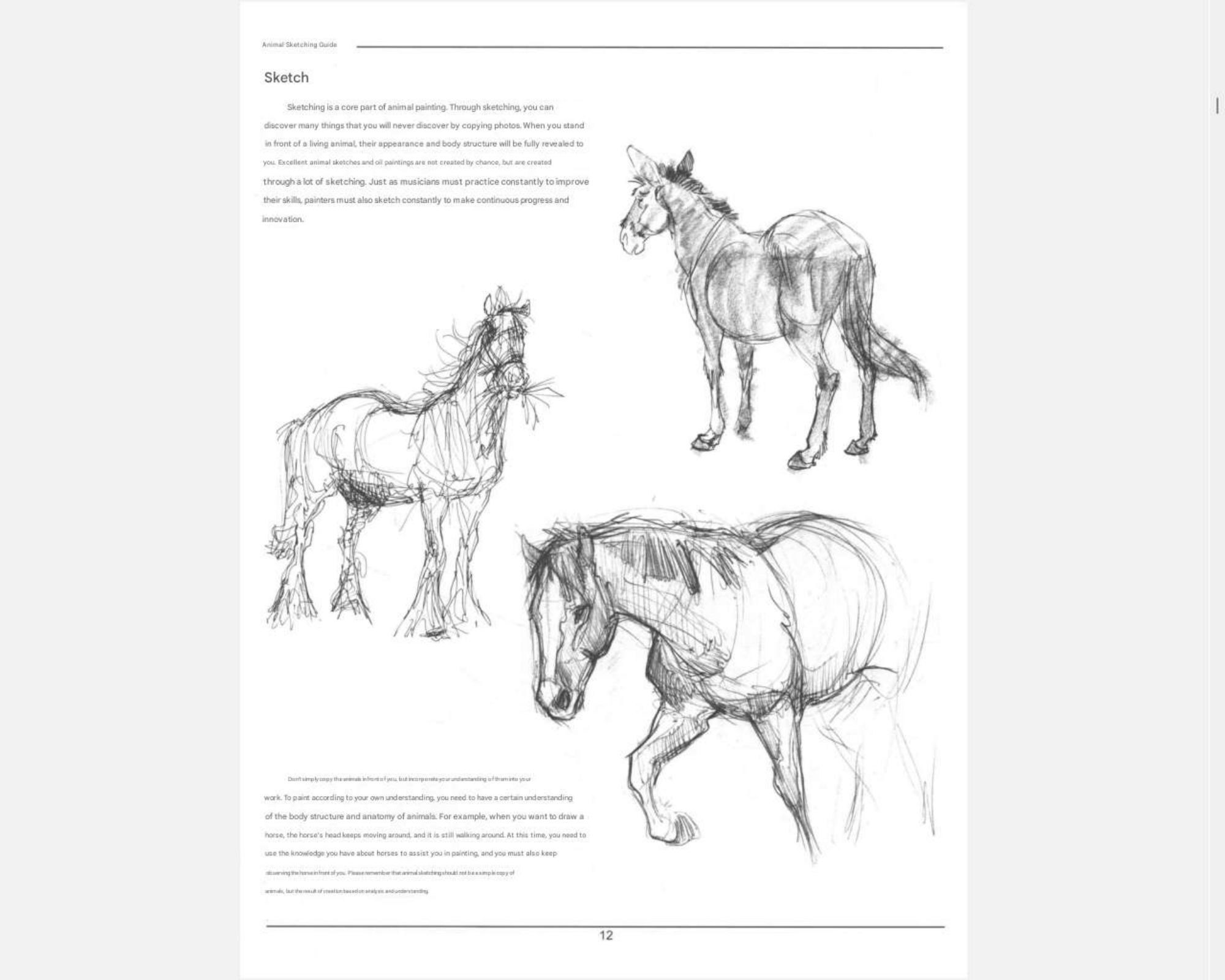图片[15]-T1256-《Weatherly动物绘画指南》 | Weatherly guide of Animal Drawing-爱画画的卷心菜