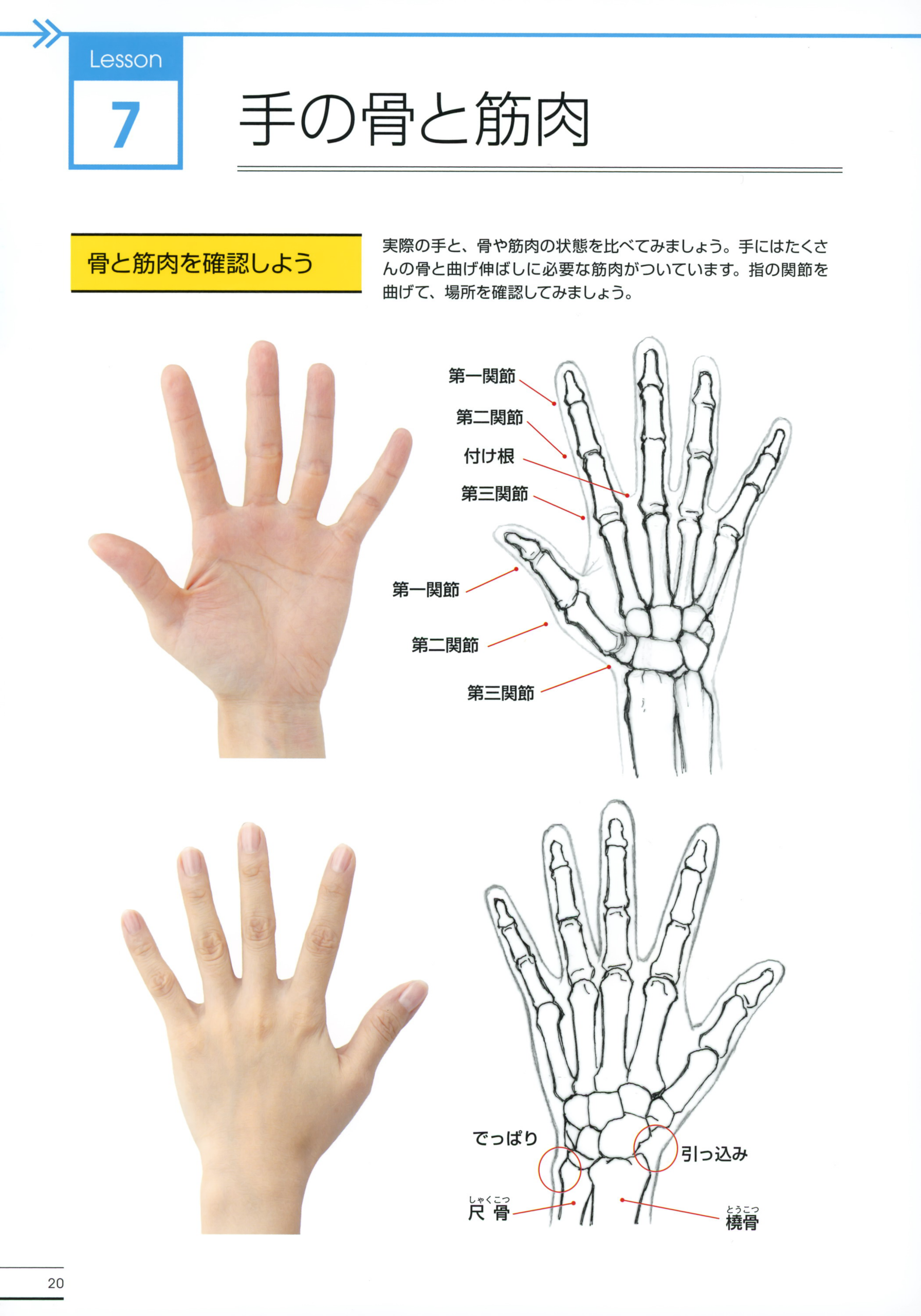 图片[15]-T1298-横沟东子手足绘画精通指南 | Toko Yokomizo Master Guide to Drawing Hands and Feet Thorough-爱画画的卷心菜