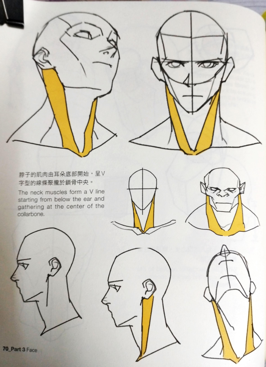图片[15]-T1332-重点角色绘制 第2卷 | Point charcter drawing vol 2-爱画画的卷心菜