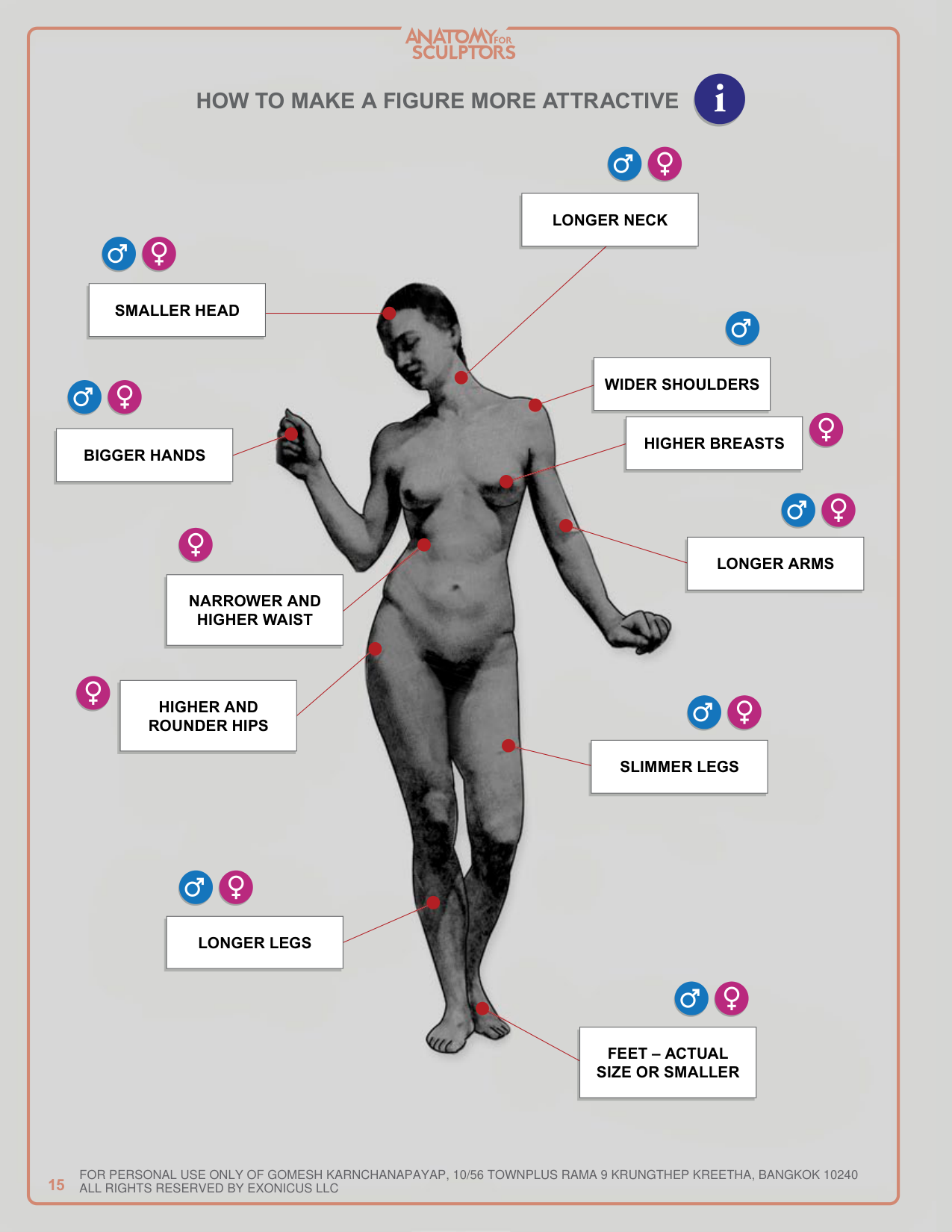 图片[15]-T1028-雕塑师的人体解剖：理解人体形态 | Anatomy for Sculptors, Understanding the Human Figure Uldis Za-爱画画的卷心菜