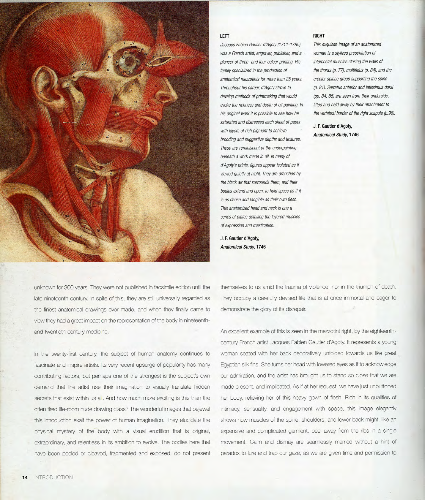 图片[15]-T1053-解剖学 | Anatomy-爱画画的卷心菜