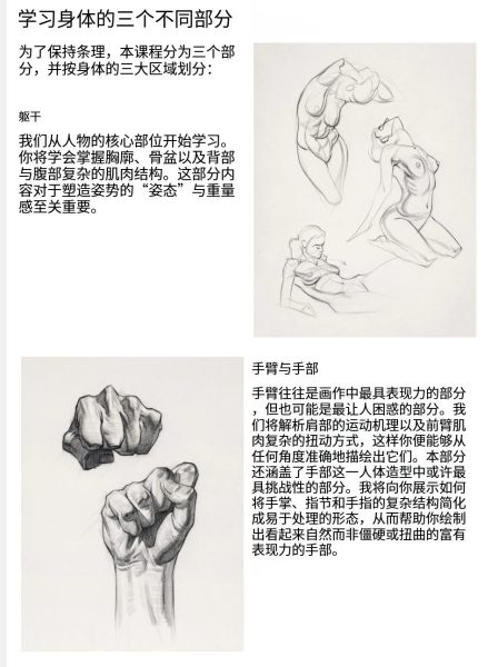 图片[6]-L036-[终极进阶】Proko人体解剖学-爱画画的卷心菜