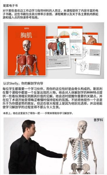 图片[7]-L036-[终极进阶】Proko人体解剖学-爱画画的卷心菜