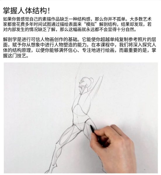 图片[4]-L036-[终极进阶】Proko人体解剖学-爱画画的卷心菜