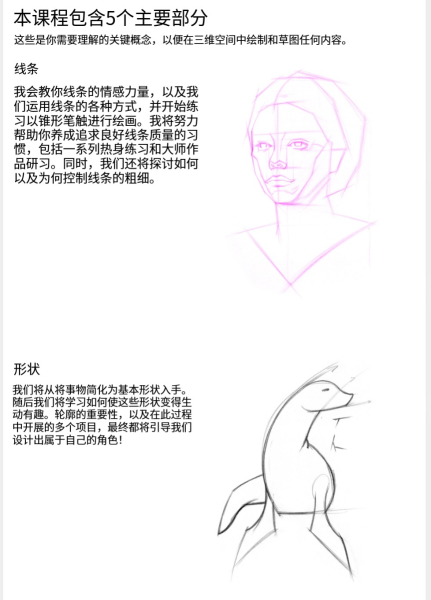 图片[4]-L039-Proko零基础入门绘画-爱画画的卷心菜