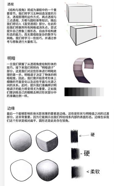 图片[5]-L039-Proko零基础入门绘画-爱画画的卷心菜