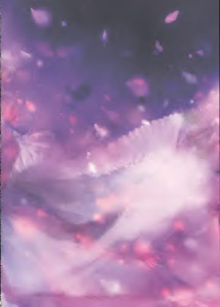 图片[4]-C653-Nijinosaki Grand Preview-爱画画的卷心菜