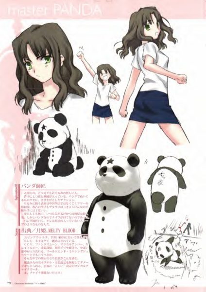 图片[14]-C674-TYPE-MOON 角色设定资料集-爱画画的卷心菜
