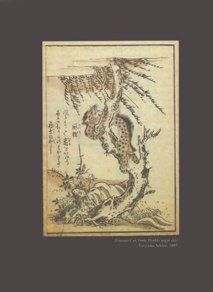 图片[13]-C868-怪猫：日本超自然猫图鉴-爱画画的卷心菜